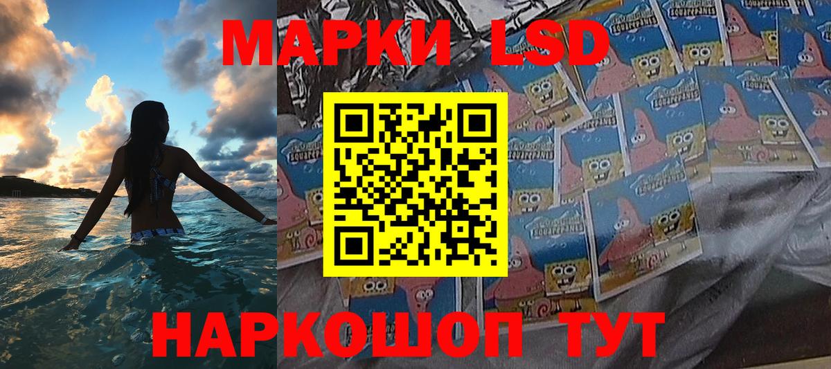 Наркотические марки 1,8мг  Вход с VPN  Гудермес  Наркотические марки 1,8мг 
