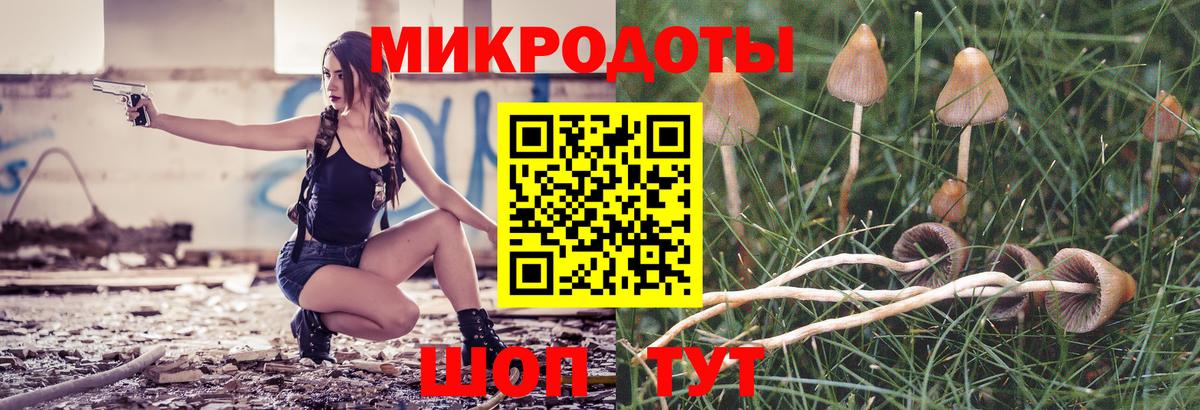 Псилоцибиновые грибы прущие грибы  Псилоцибиновые грибы Psilocybe  Гудермес  Вход с VPN 